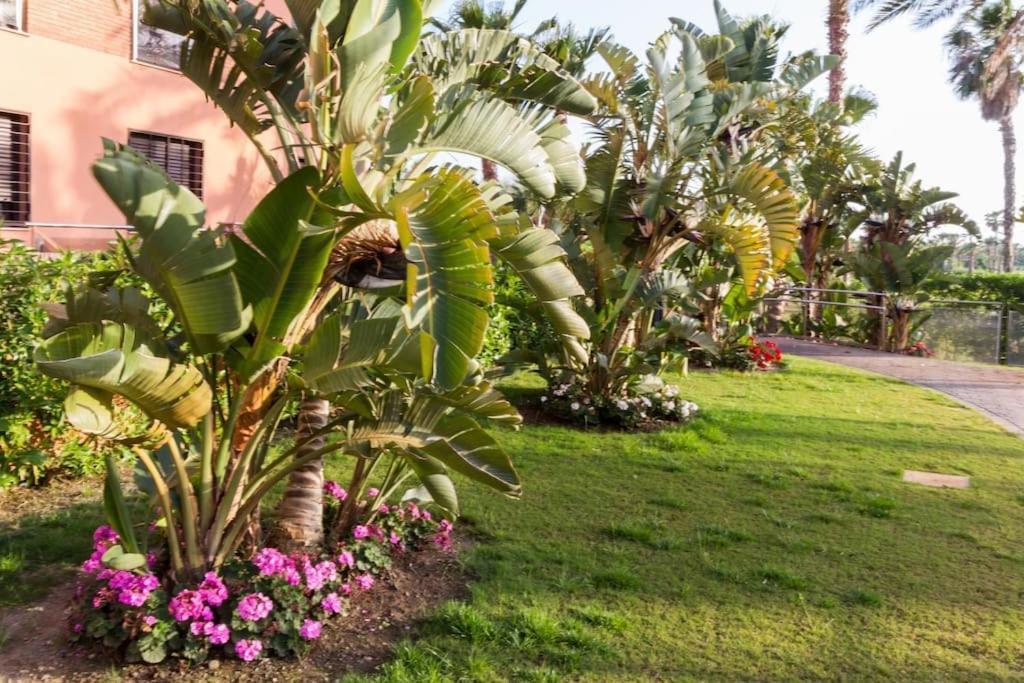 Pushe Playa Granada Beach & Golf 20 モトリル エクステリア 写真